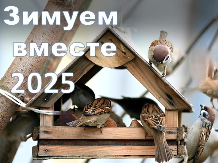 Областной конкурс «Зимуем вместе — 2025»