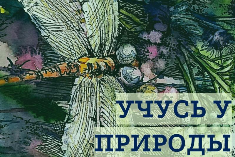 Учусь у природы