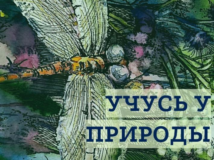 В Костромском музее-заповеднике открылась новая выставка о природе В Костромском музее-заповеднике открылась новая выставка о природе