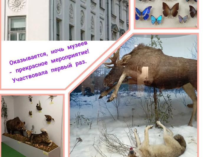 Ночь музеев прошла, послевкусие осталось Ночь музеев прошла, послевкусие осталось