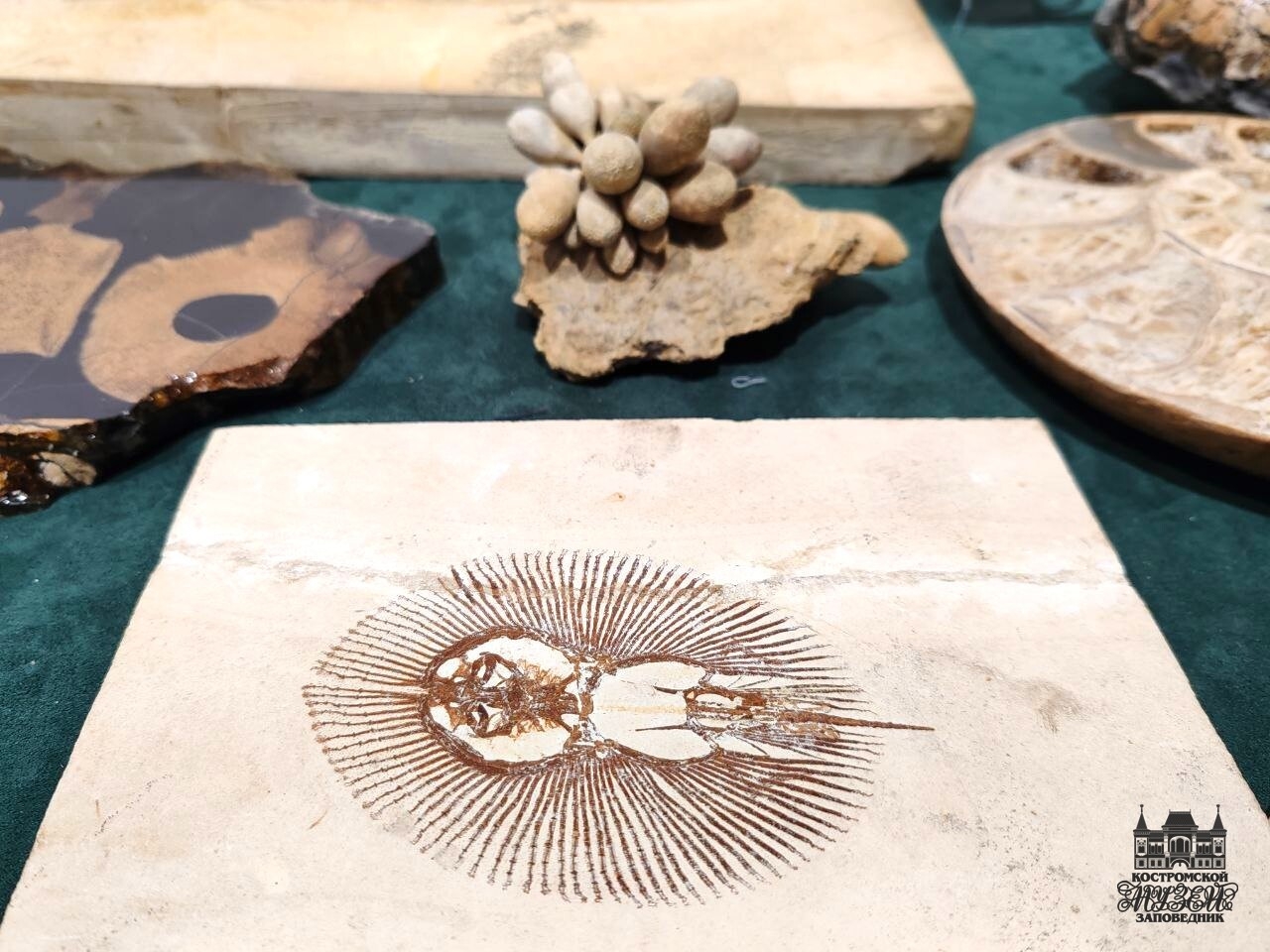 Выставки и события