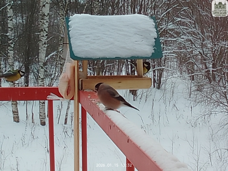 Выставки и события