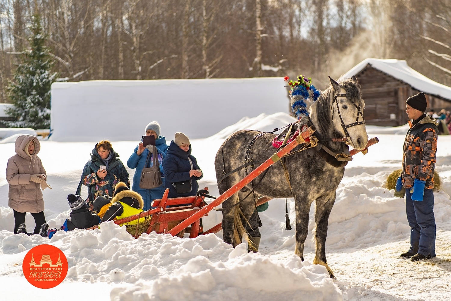 Выставки и события