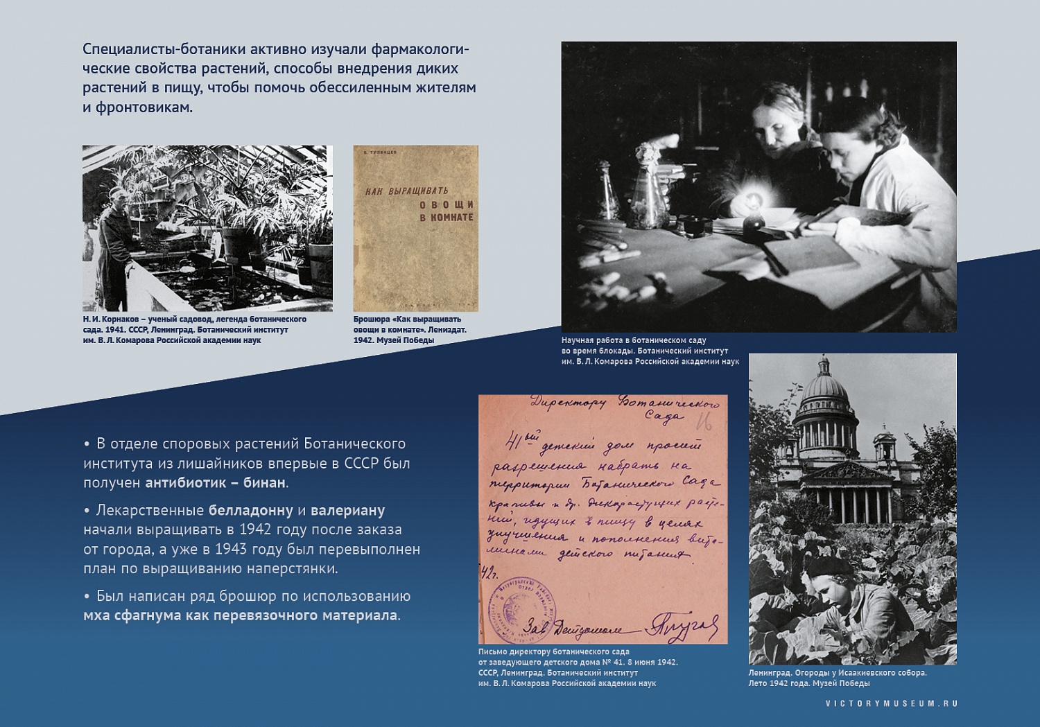 Выставки и события