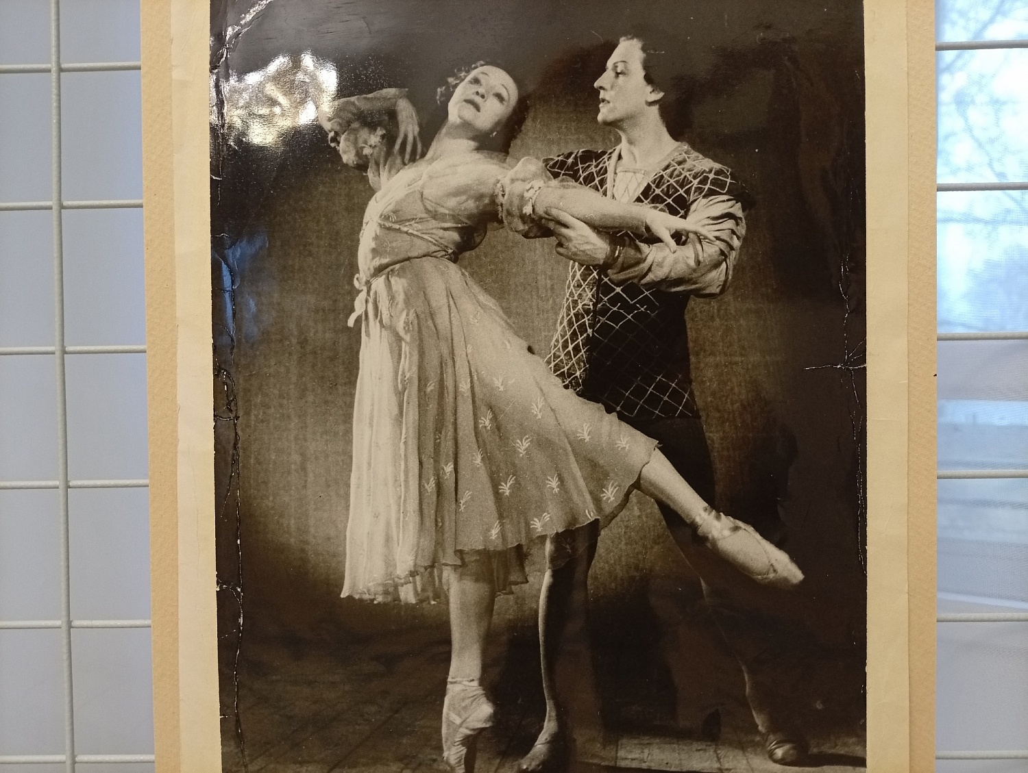 Выставки и события